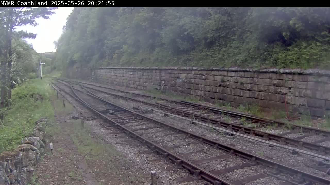 Train tracks curve gently to the left, flanked by a stone retaining wall and overgrown vegetation in misty conditions.