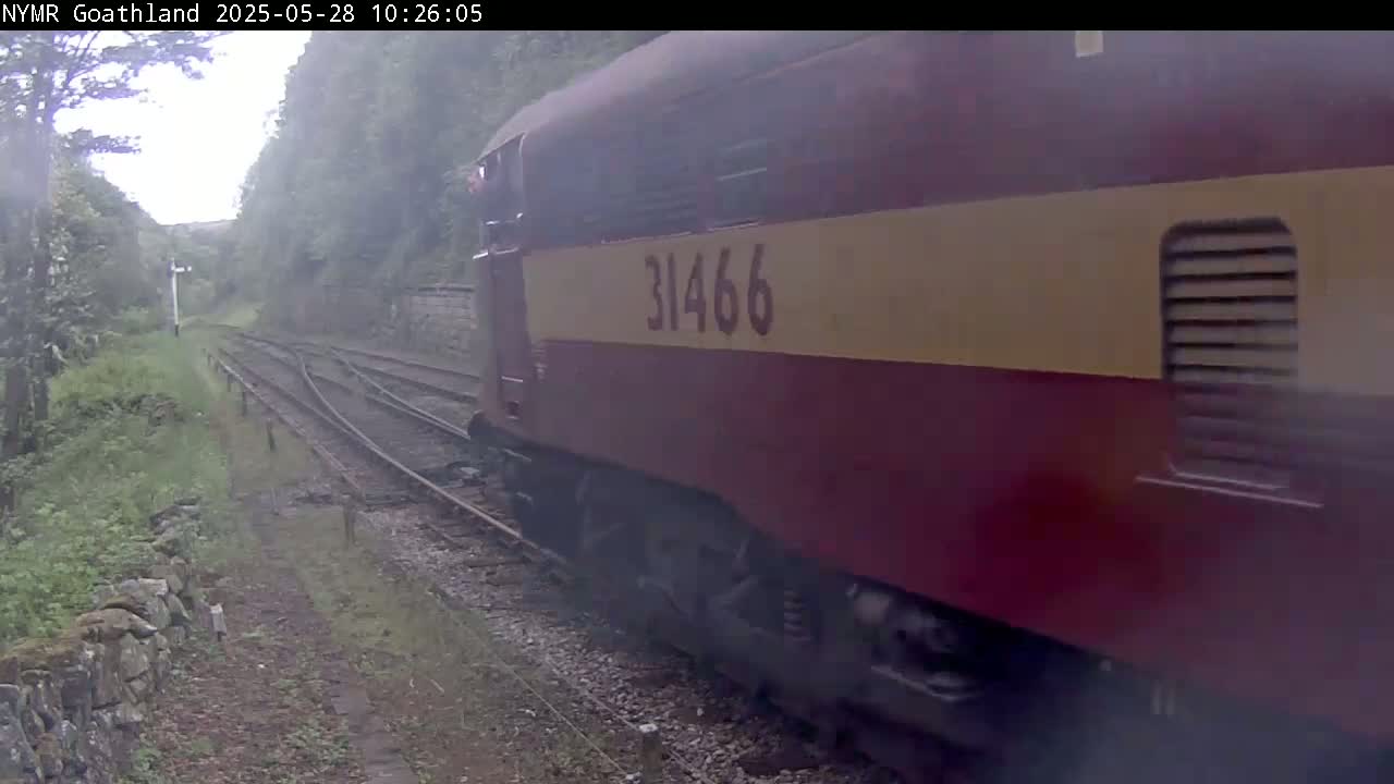 A red and tan diesel locomotive moves along a railway track through a misty, green landscape.