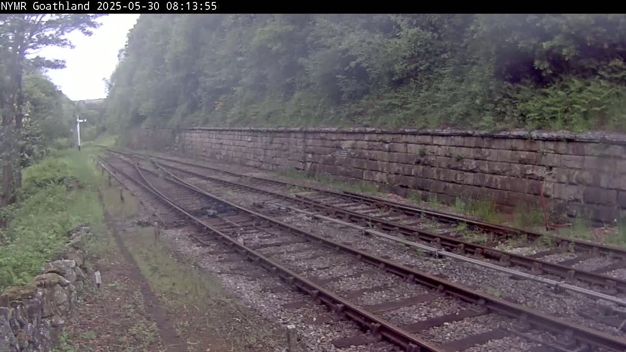 Multiple train tracks curve gently to the left, bordered by a stone wall and overgrown vegetation under an overcast sky.