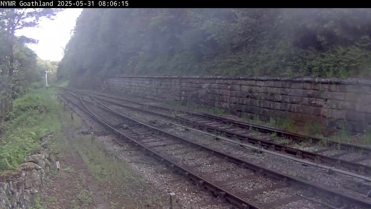 A misty view of train tracks leading to a stone wall, bordered by overgrown vegetation.