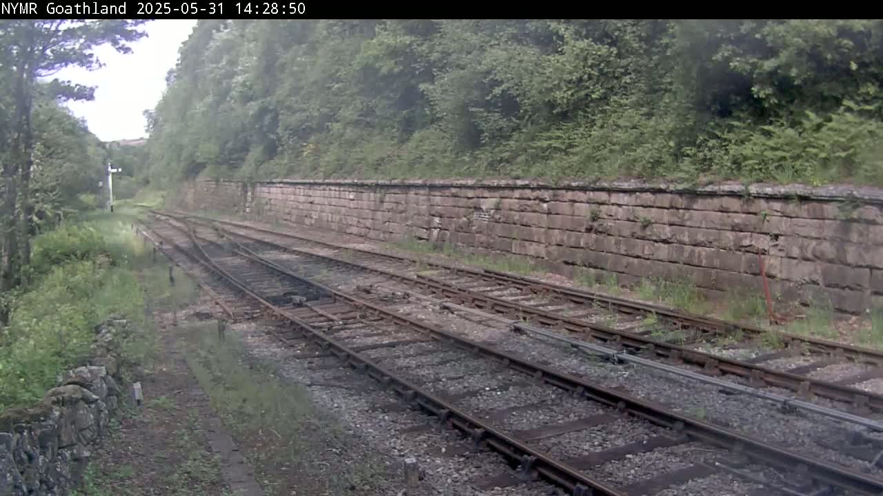 Multiple train tracks wind through a green, overcast landscape beside a stone wall.