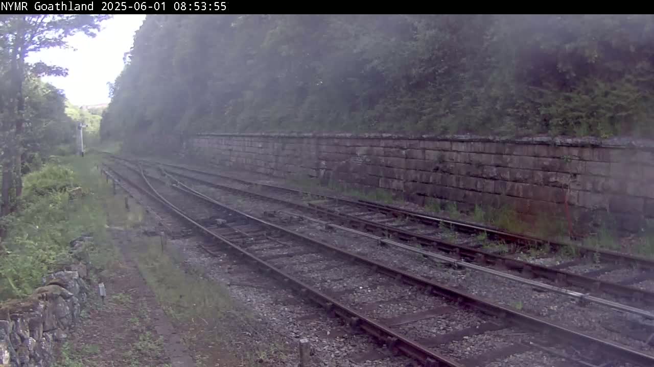 Multiple train tracks curve through a misty, green landscape bordered by a stone wall and lush vegetation.