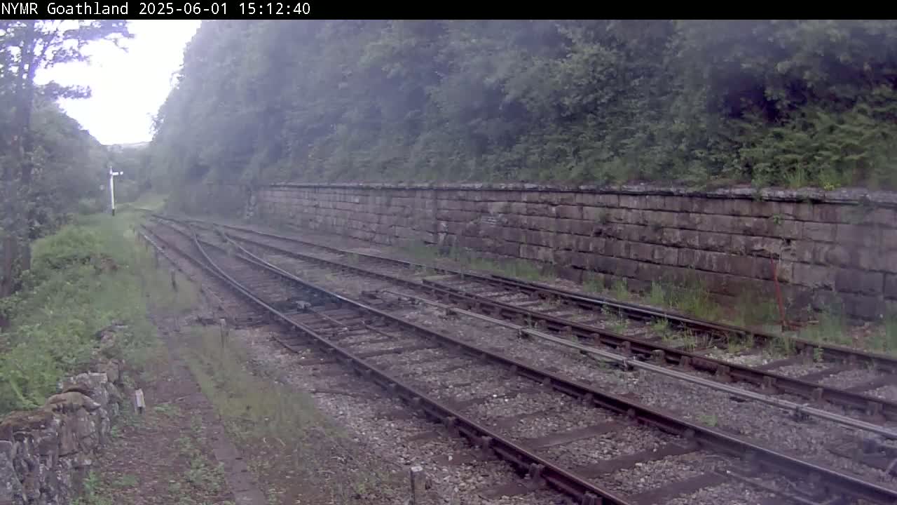 Multiple train tracks curve gently around a stone retaining wall, bordered by lush green vegetation under an overcast sky.