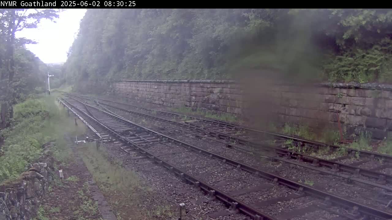 A view of a railway track on an overcast day, with a stone wall and lush vegetation bordering the tracks.