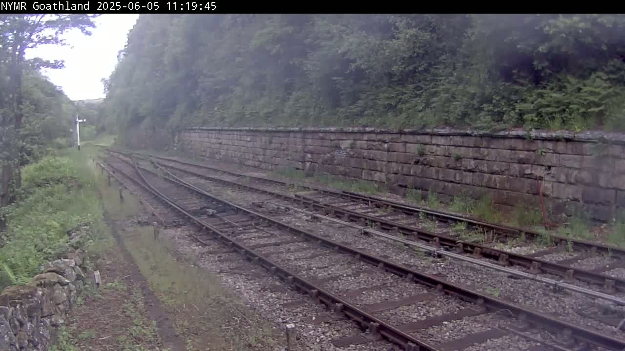 A misty view of a railway line with multiple tracks running alongside a stone wall, bordered by lush green vegetation.