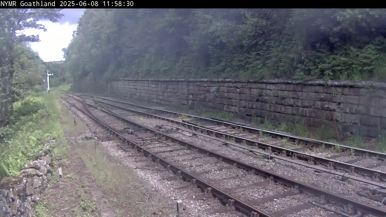 A view of railway tracks running alongside a stone retaining wall, bordered by lush greenery under an overcast sky.