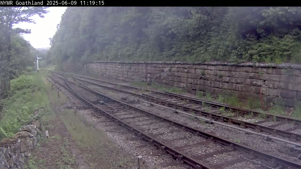 Multiple train tracks curve through a misty, overgrown landscape alongside a low stone wall.