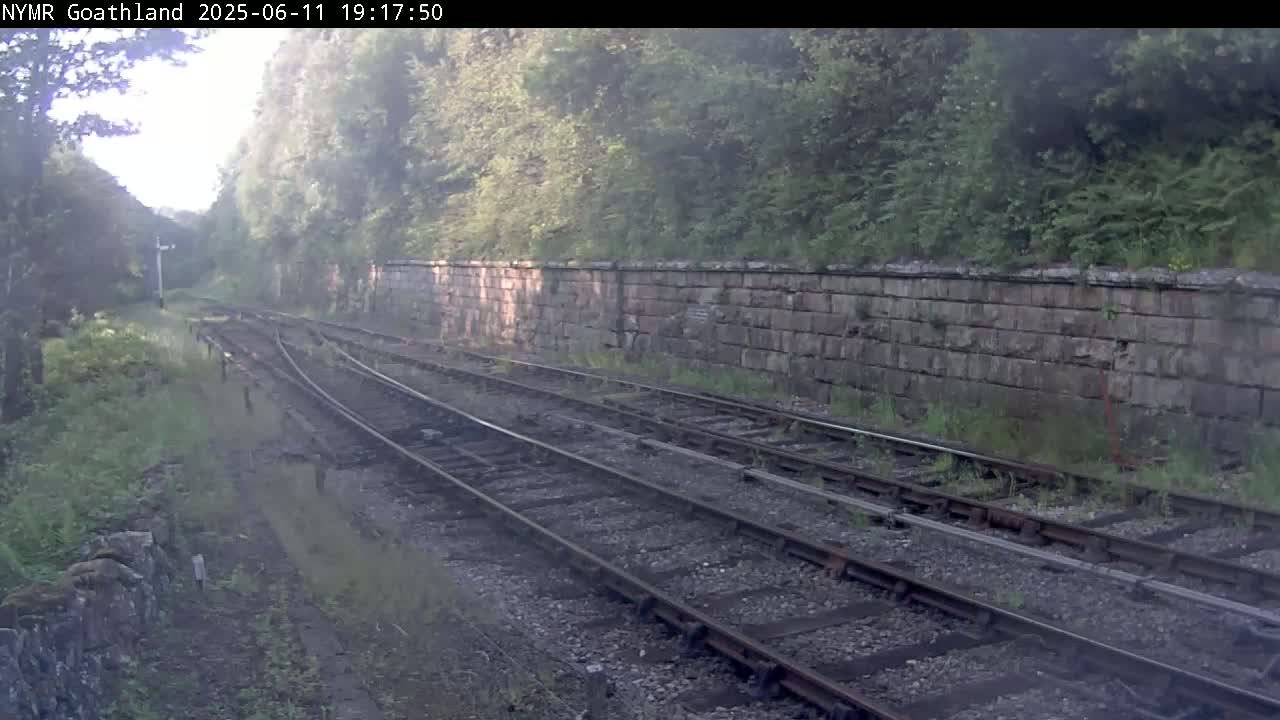 A misty view of multiple train tracks alongside a stone wall, bordered by overgrown vegetation.