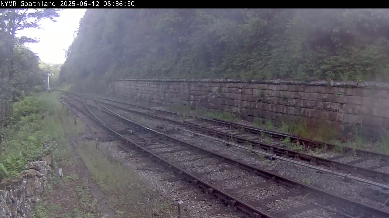Multiple train tracks wind through a foggy landscape alongside a stone wall and lush green vegetation.