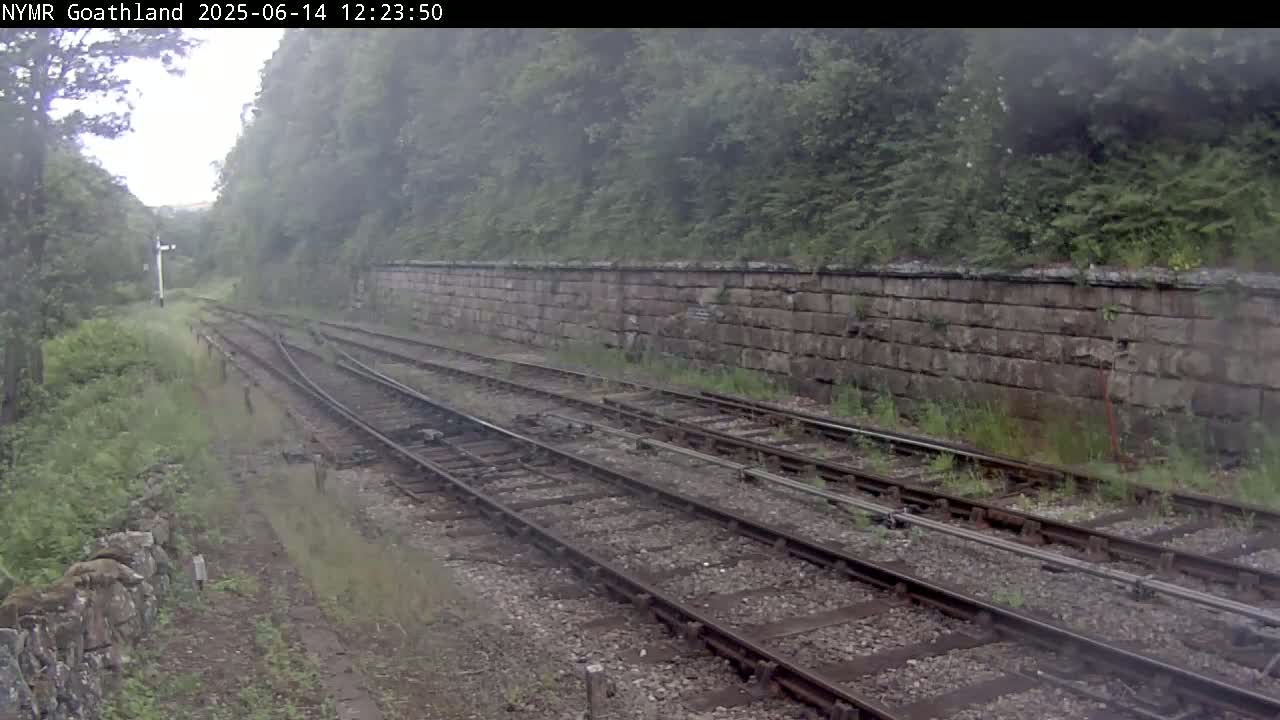 Multiple train tracks curve through a lush green landscape on an overcast day, alongside a low stone wall.