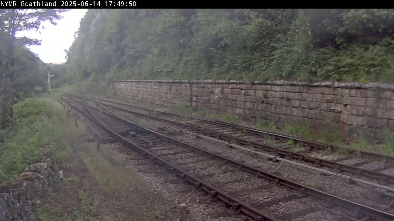 Multiple train tracks curve alongside a stone wall bordered by overgrown vegetation under an overcast sky.