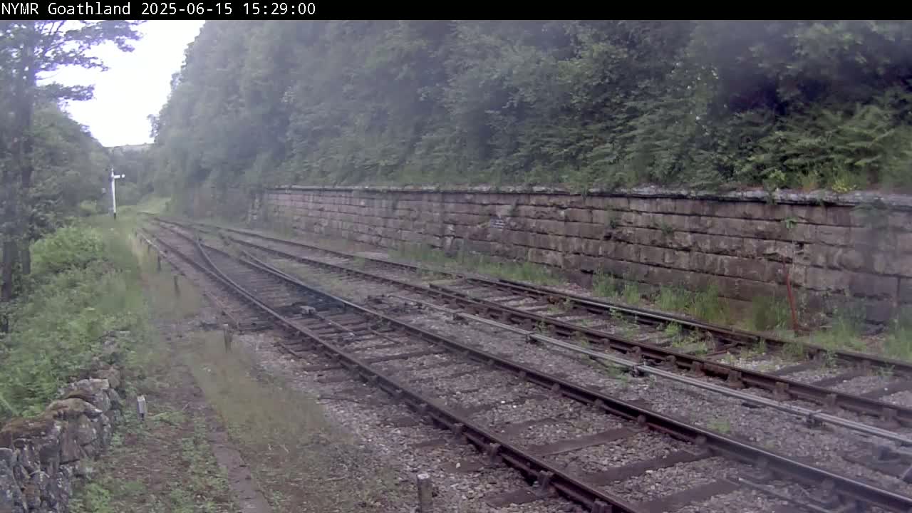 A view of multiple train tracks alongside a stone wall, surrounded by lush green vegetation on an overcast day.