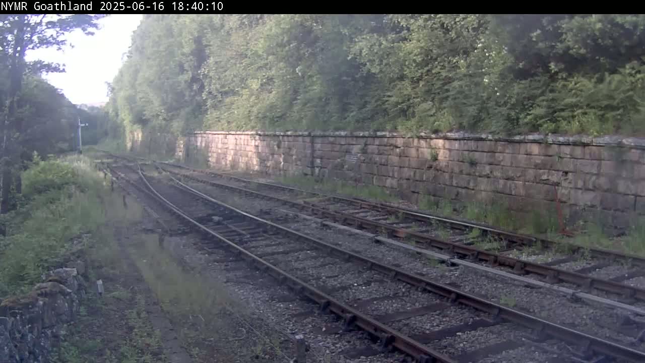 Two sets of train tracks run alongside a stone wall bordered by overgrown vegetation under an overcast sky.
