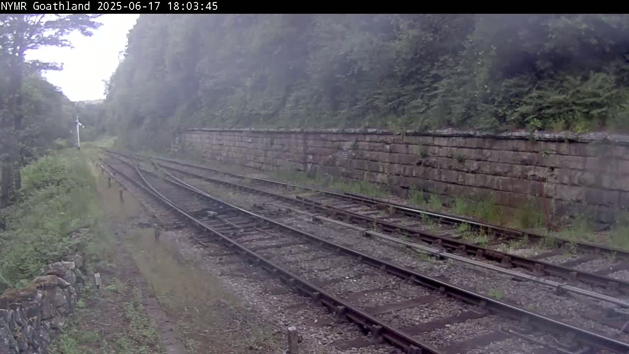 A misty view of multiple train tracks alongside a stone wall, bordered by lush green vegetation.