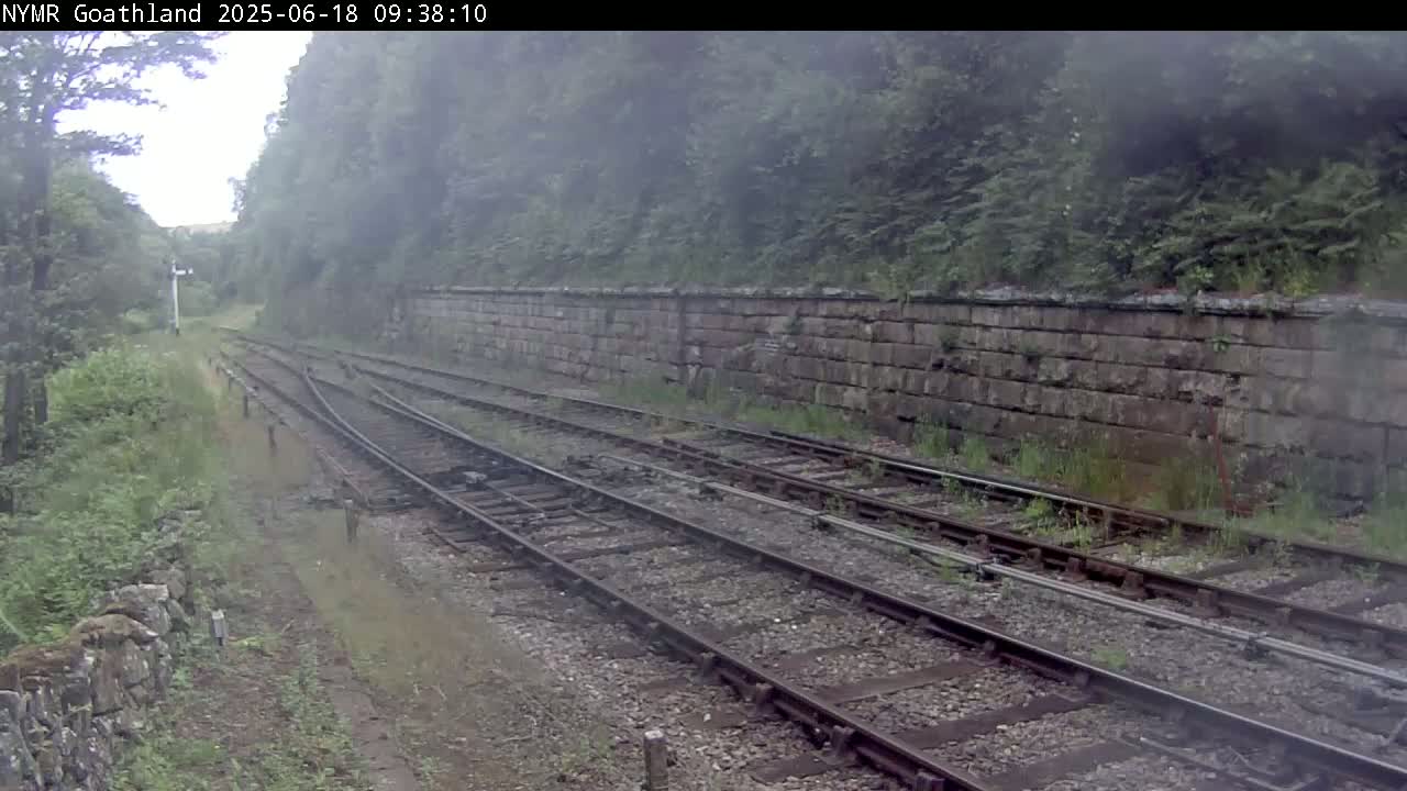 Multiple train tracks wind through a misty, green landscape alongside a low stone wall.