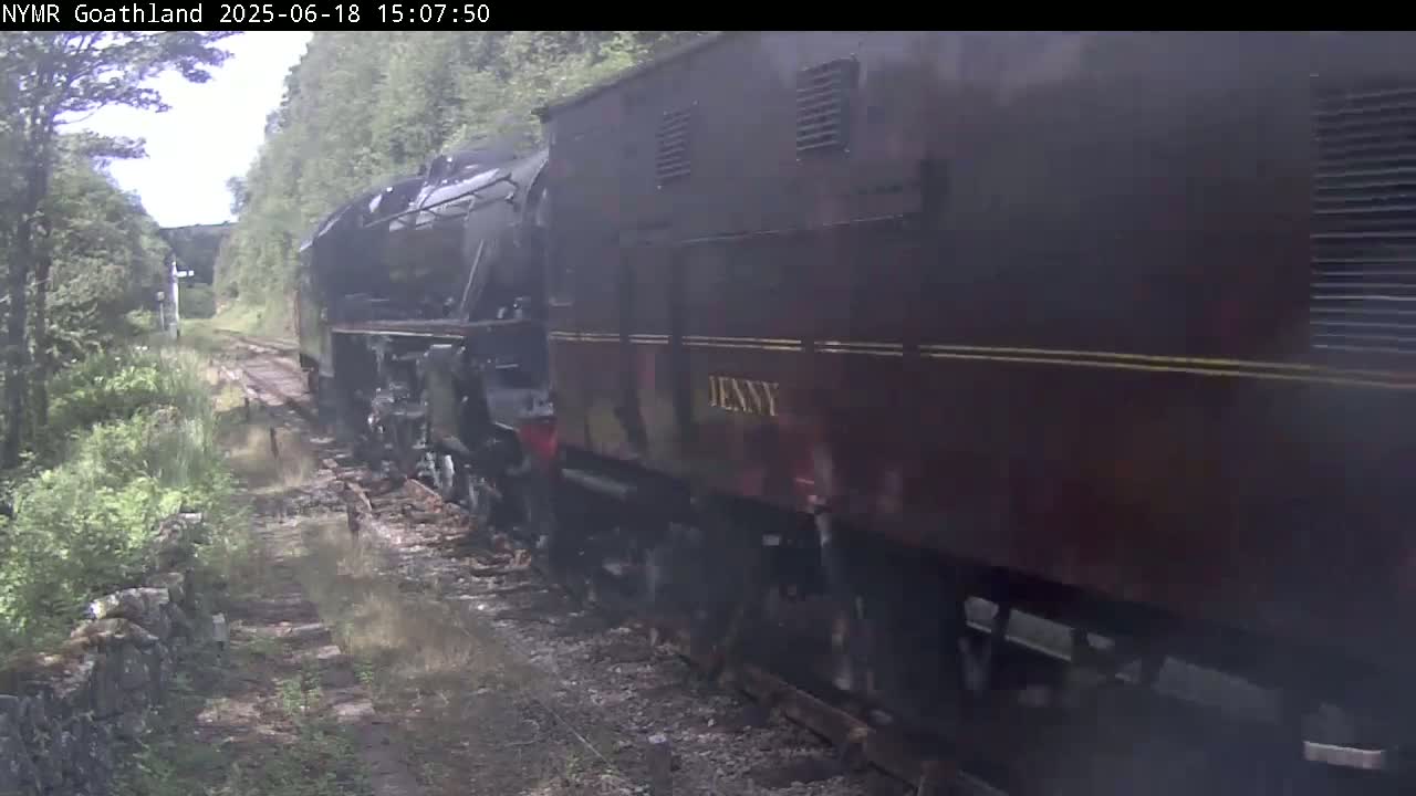 A dark-colored steam train travels along a railway track through a wooded area on an overcast day.