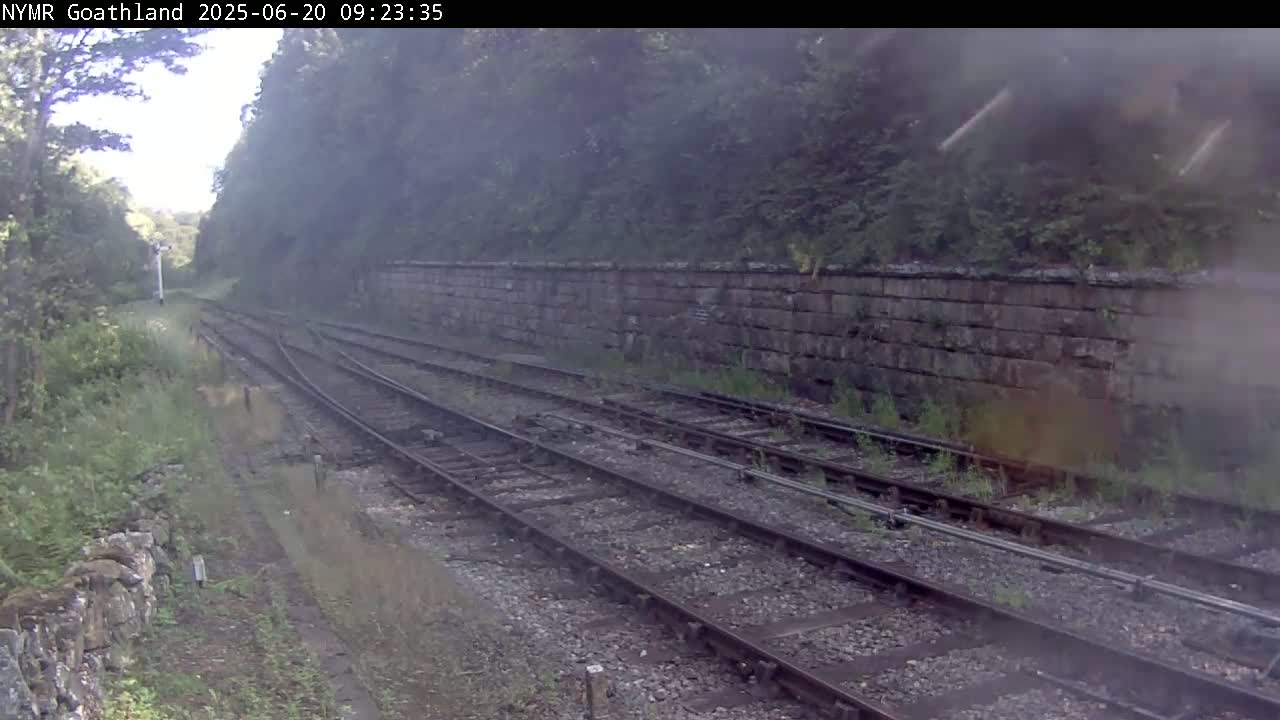 Multiple train tracks wind through a hazy, overgrown area bordered by a stone wall and lush greenery.