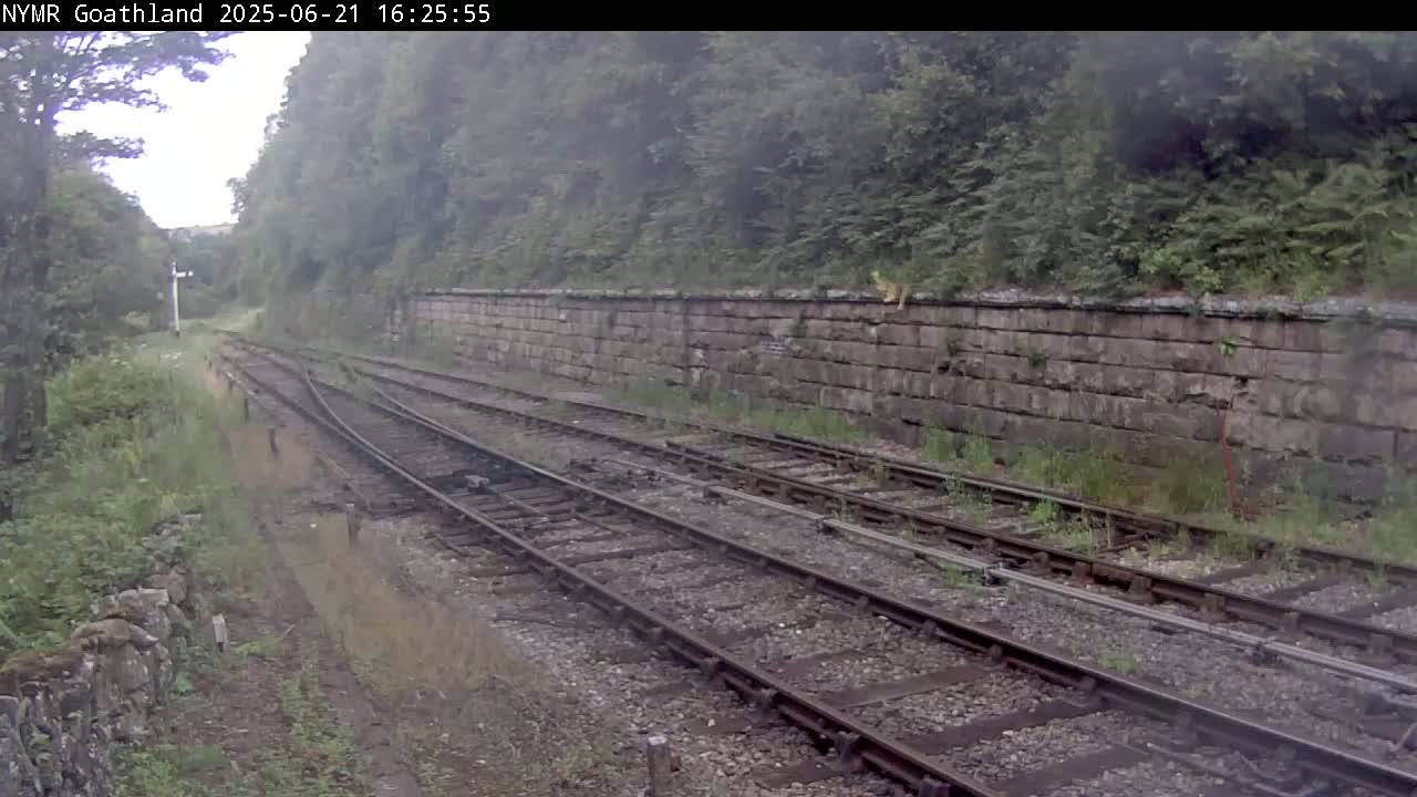 A view of railway tracks and a stone retaining wall bordered by lush greenery on an overcast day.