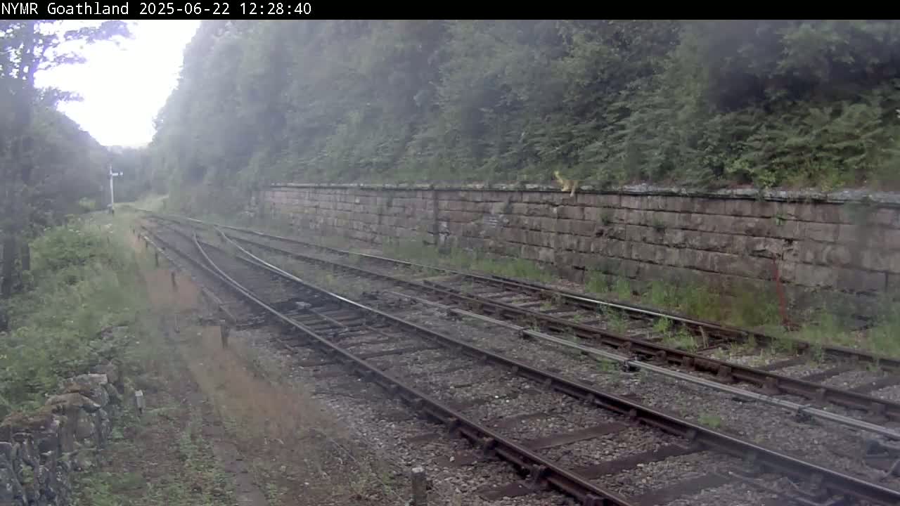 Multiple train tracks curve through a misty, green landscape alongside a low stone wall.