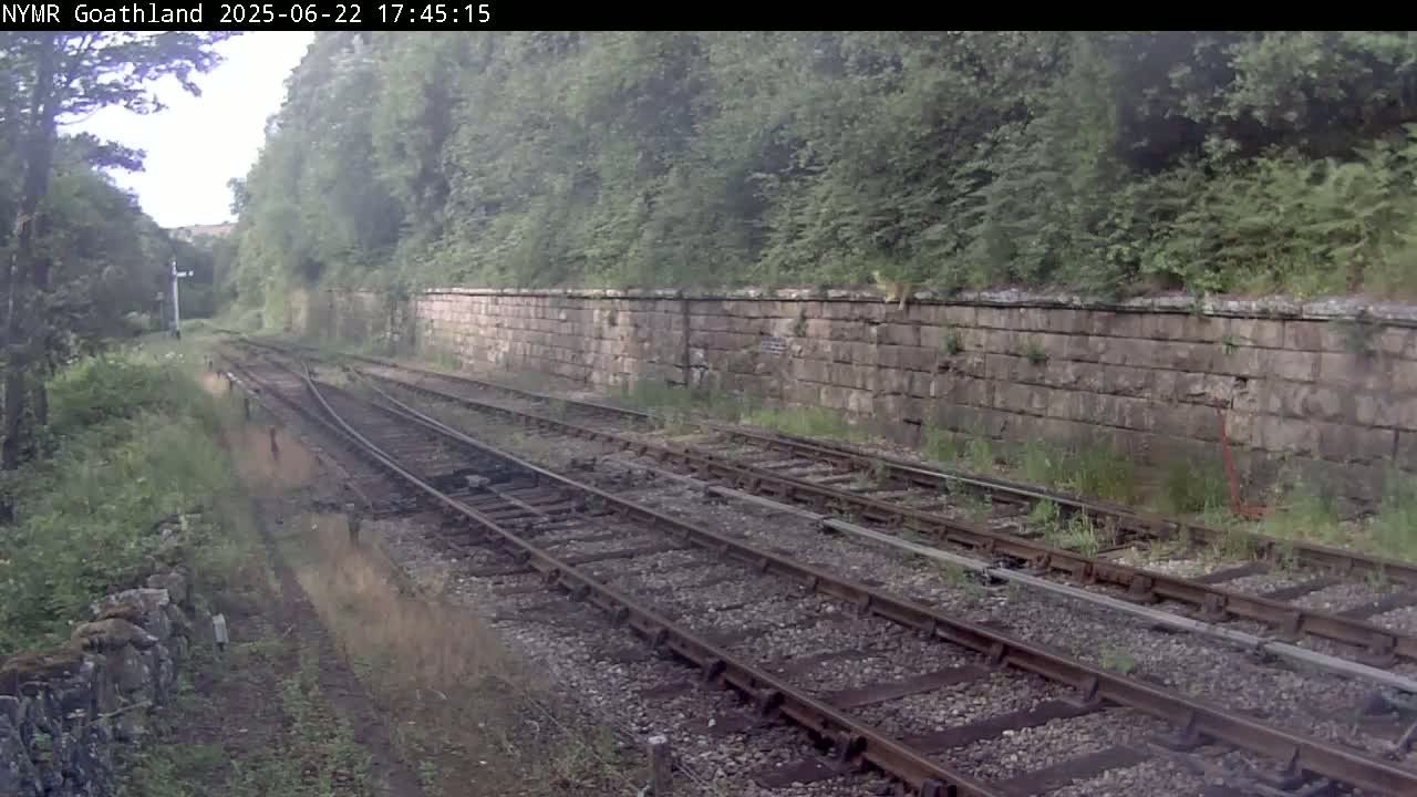 A view of a railway track bordered by lush greenery and a stone wall under an overcast sky.