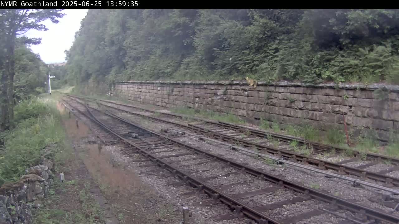 North Yorkshire Moors Railway (NYMR) Goathland Station North View Live Cam - Goathland, Borough of Scarborough, North Yorkshire, Yorkshire and the Humber, England, United Kingdom