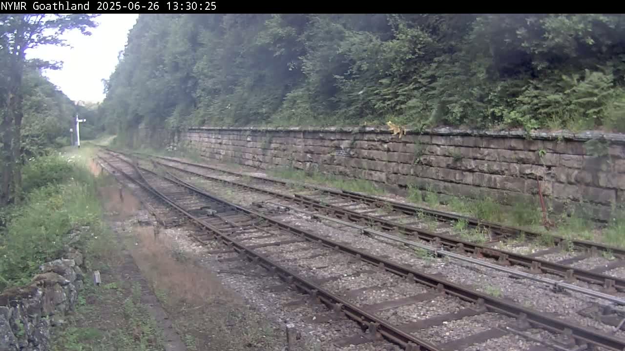 North Yorkshire Moors Railway (NYMR) Goathland Station North View Live Cam - Goathland, Borough of Scarborough, North Yorkshire, Yorkshire and the Humber, England, United Kingdom