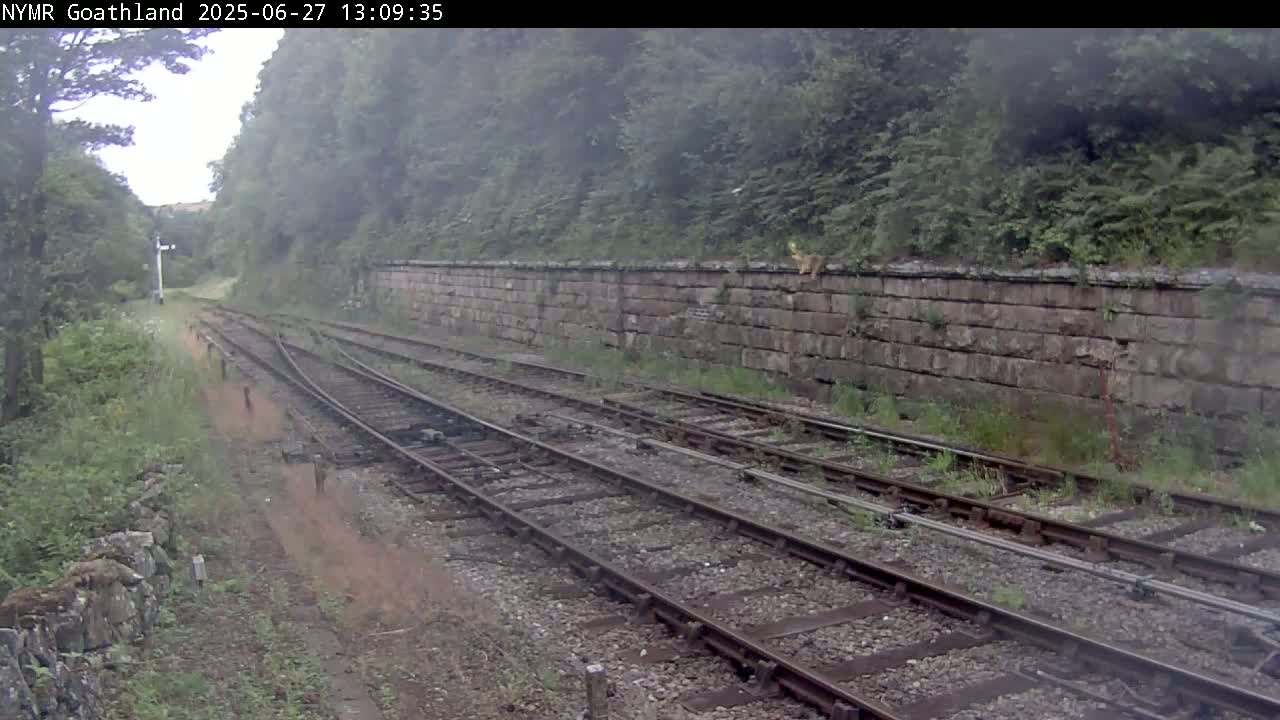 North Yorkshire Moors Railway (NYMR) Goathland Station North View Live Cam - Goathland, Borough of Scarborough, North Yorkshire, Yorkshire and the Humber, England, United Kingdom