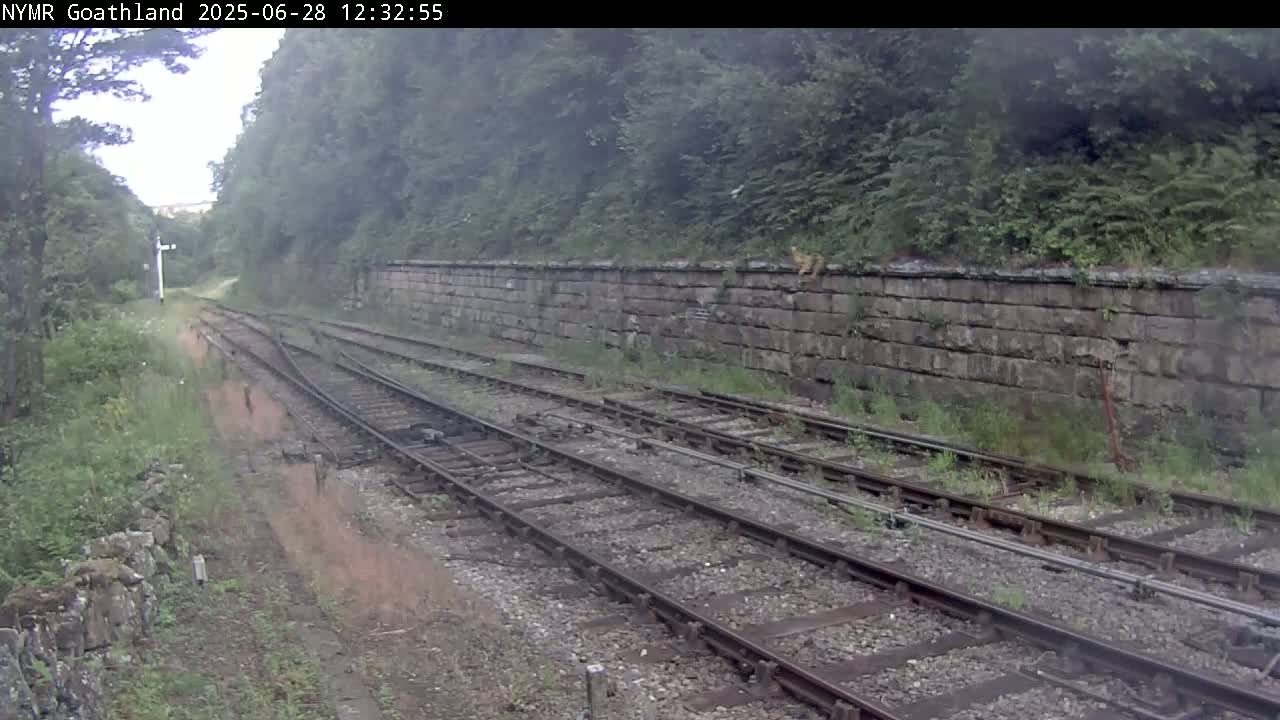 North Yorkshire Moors Railway (NYMR) Goathland Station North View Live Cam - Goathland, Borough of Scarborough, North Yorkshire, Yorkshire and the Humber, England, United Kingdom