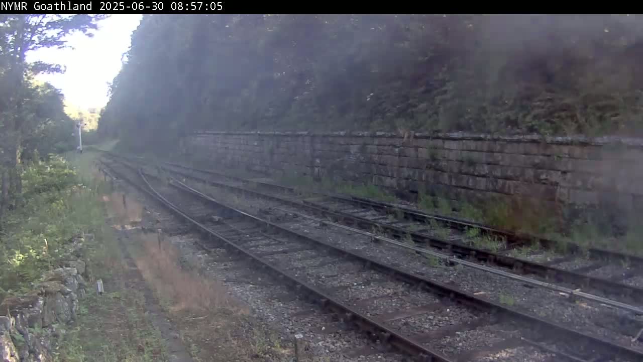 A hazy view of multiple train tracks running alongside a stone wall, bordered by overgrown vegetation.