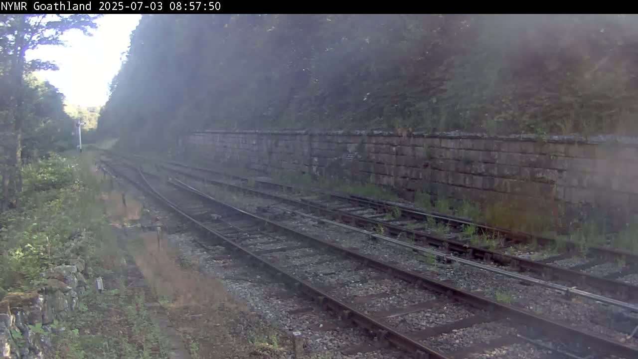 A hazy view of multiple train tracks running alongside a stone wall, bordered by overgrown vegetation.