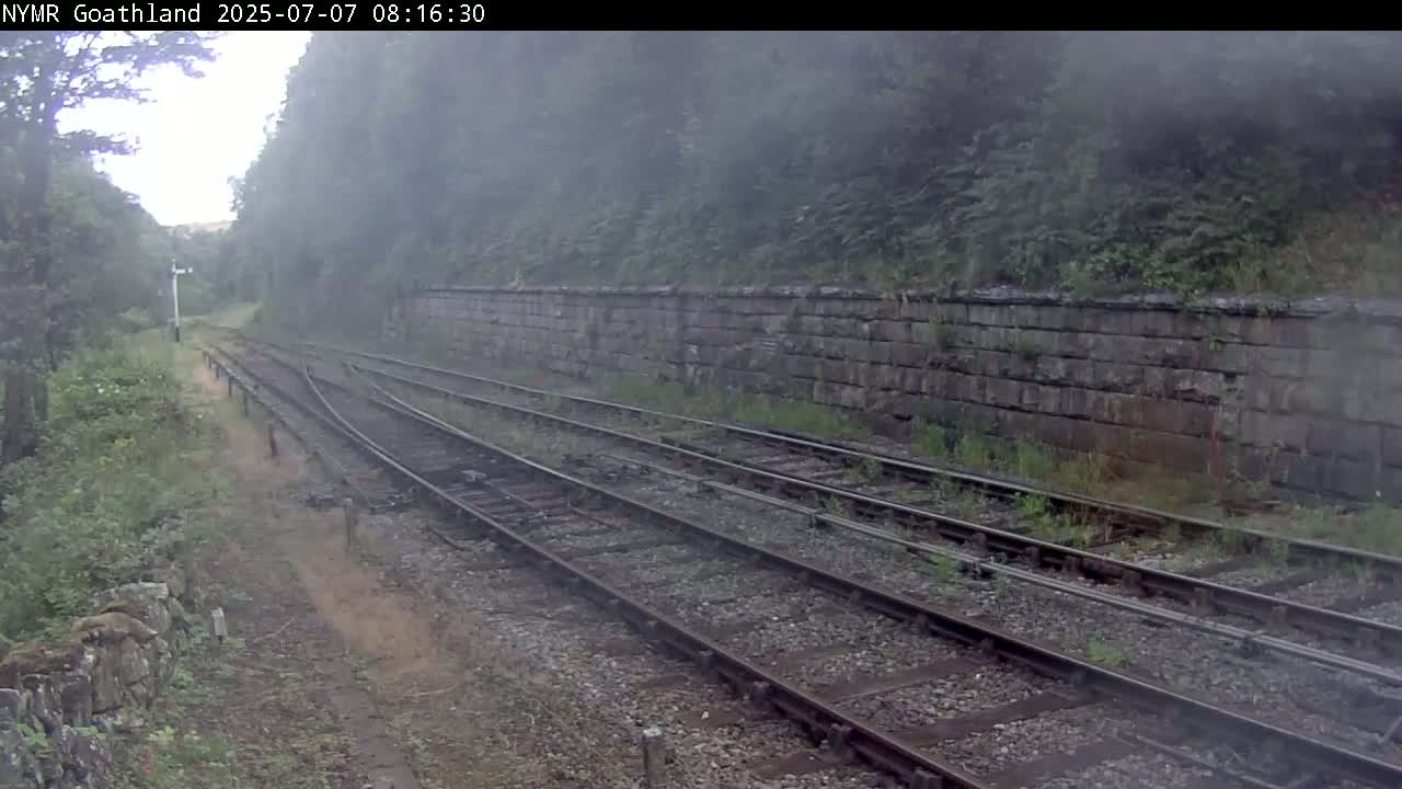 Multiple train tracks curve gently to the left, alongside a stone wall and lush green vegetation, in misty conditions.