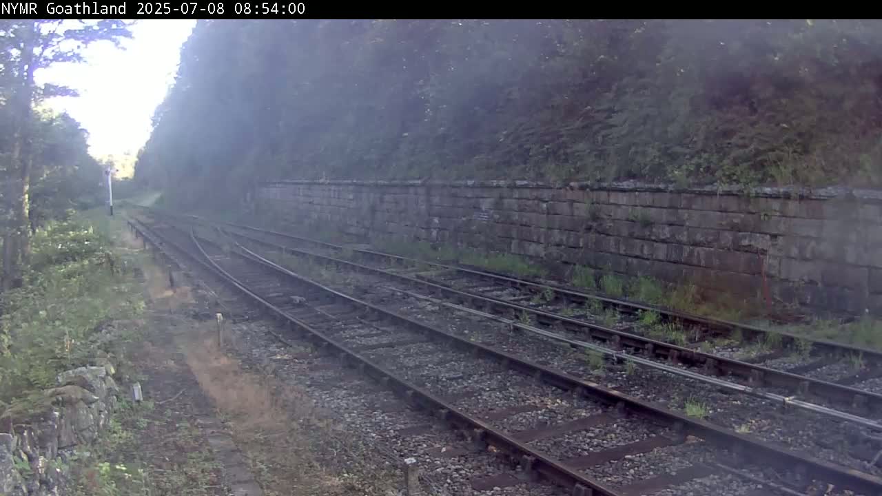 A hazy view of multiple train tracks running alongside a stone wall, bordered by overgrown vegetation.