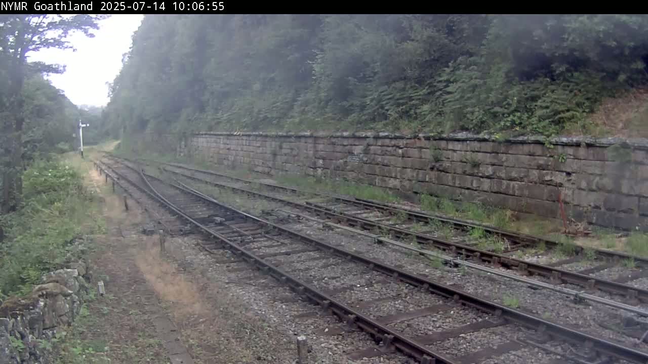 Multiple train tracks curve gently through a misty landscape, alongside a tall stone retaining wall and lush green vegetation.