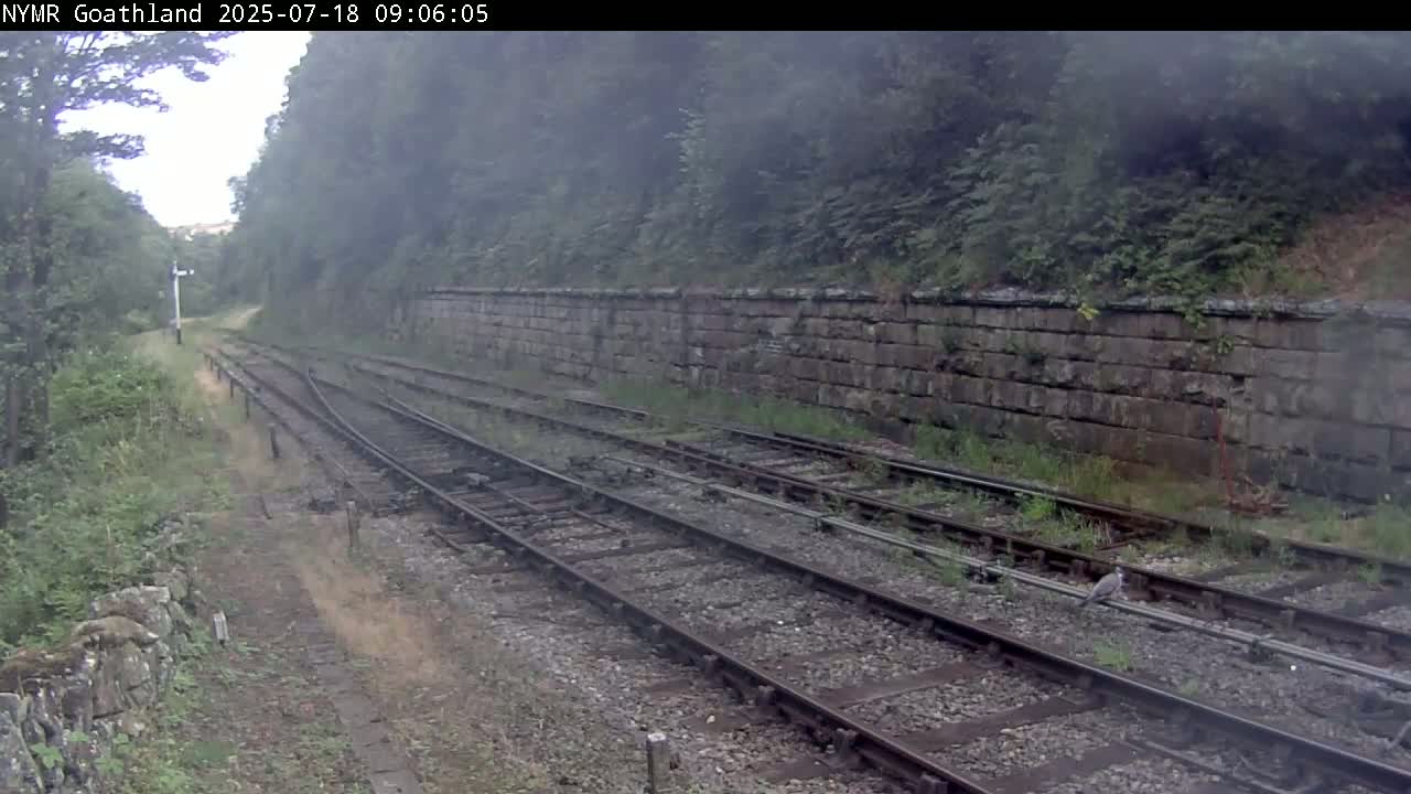 Multiple train tracks curve through a misty, green landscape alongside a stone wall.