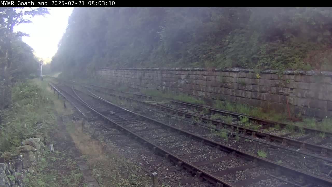 A misty view of a railway line with overgrown vegetation on either side, leading to a stone retaining wall.