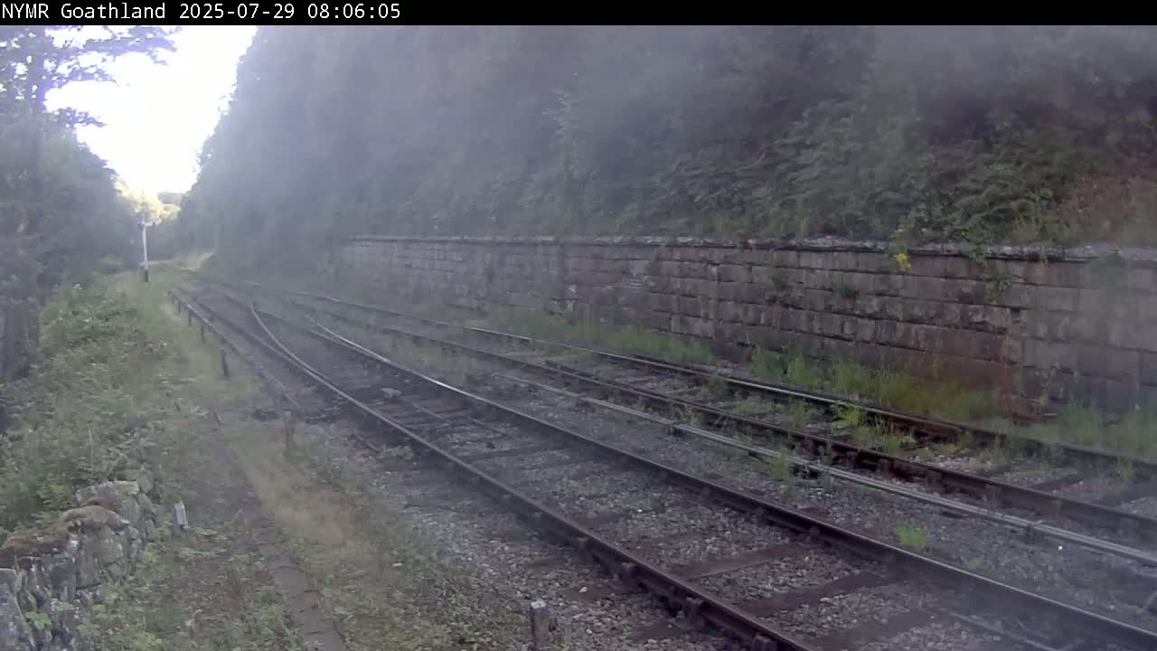 A foggy view of multiple train tracks beside a stone wall, bordered by overgrown vegetation.
