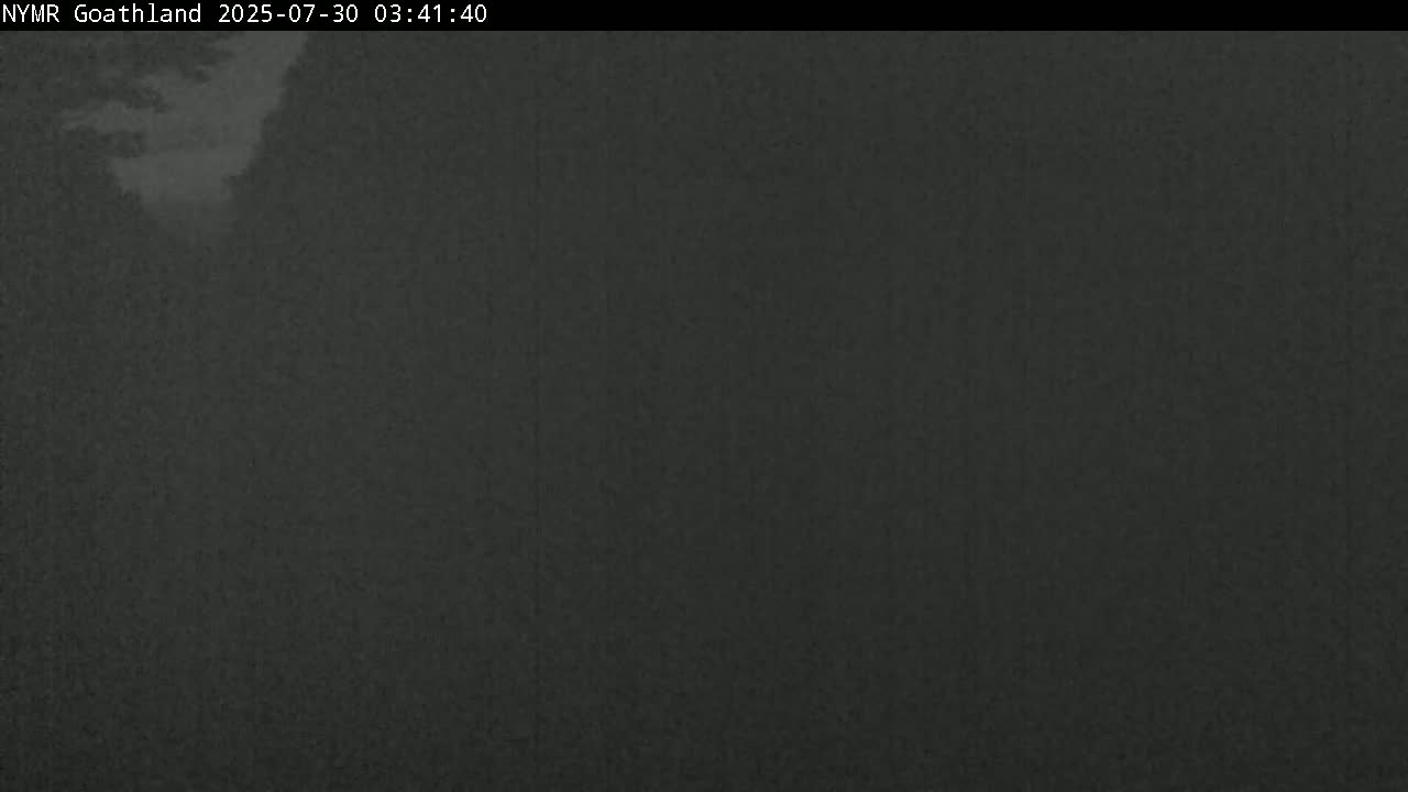 A foggy view of multiple train tracks beside a stone wall, bordered by overgrown vegetation.