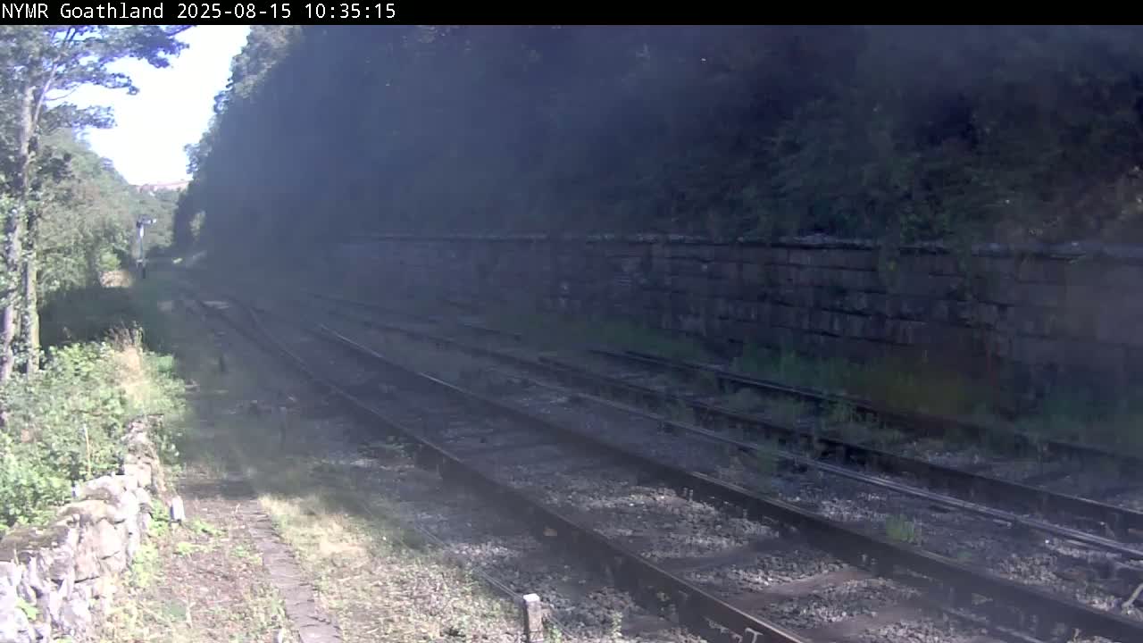 A foggy view of multiple train tracks beside a stone wall, bordered by overgrown vegetation.