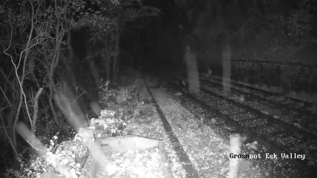 North Yorkshire Moors Railway (NYMR) Goathland Station North View Live Cam - Goathland, Borough of Scarborough, North Yorkshire, Yorkshire and the Humber, England, United Kingdom