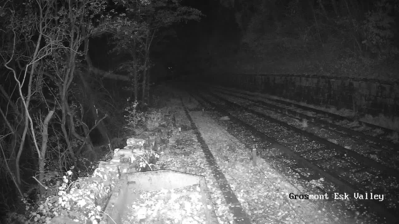 North Yorkshire Moors Railway (NYMR) Goathland Station North View Live Cam - Goathland, Borough of Scarborough, North Yorkshire, Yorkshire and the Humber, England, United Kingdom