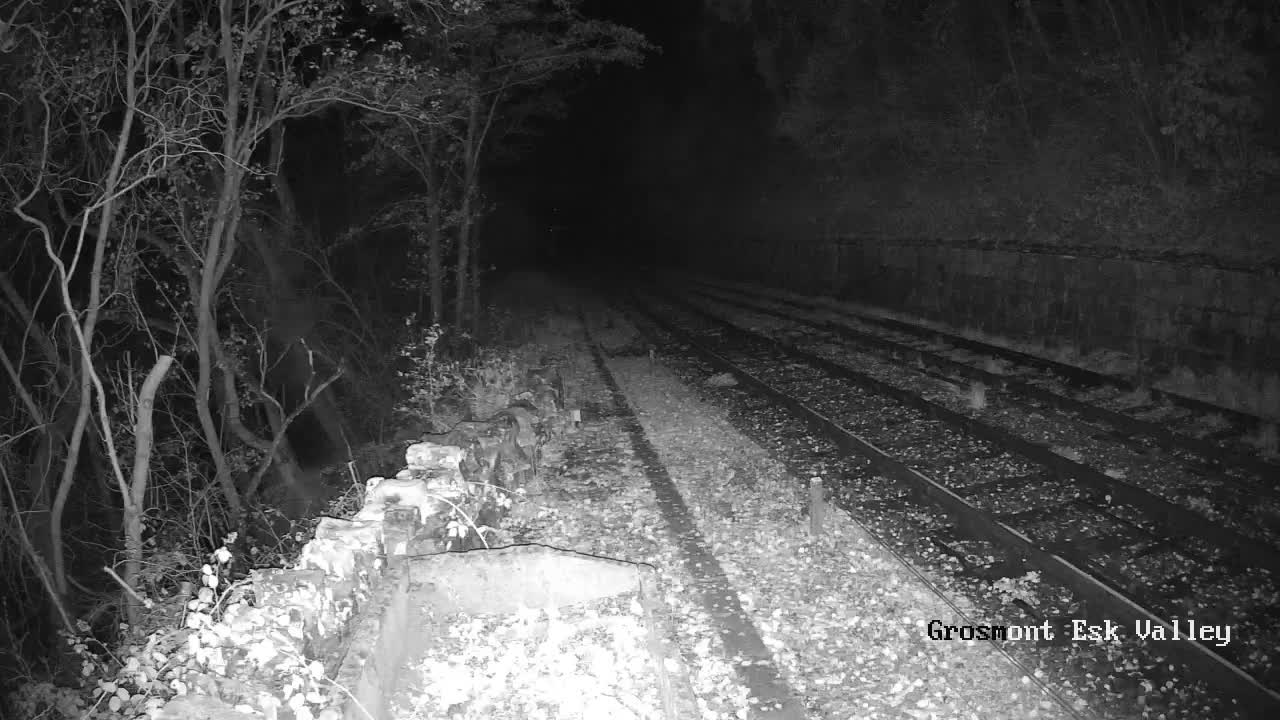 North Yorkshire Moors Railway (NYMR) Goathland Station North View Live Cam - Goathland, Borough of Scarborough, North Yorkshire, Yorkshire and the Humber, England, United Kingdom