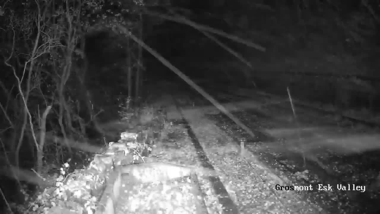 North Yorkshire Moors Railway (NYMR) Goathland Station North View Live Cam - Goathland, Borough of Scarborough, North Yorkshire, Yorkshire and the Humber, England, United Kingdom