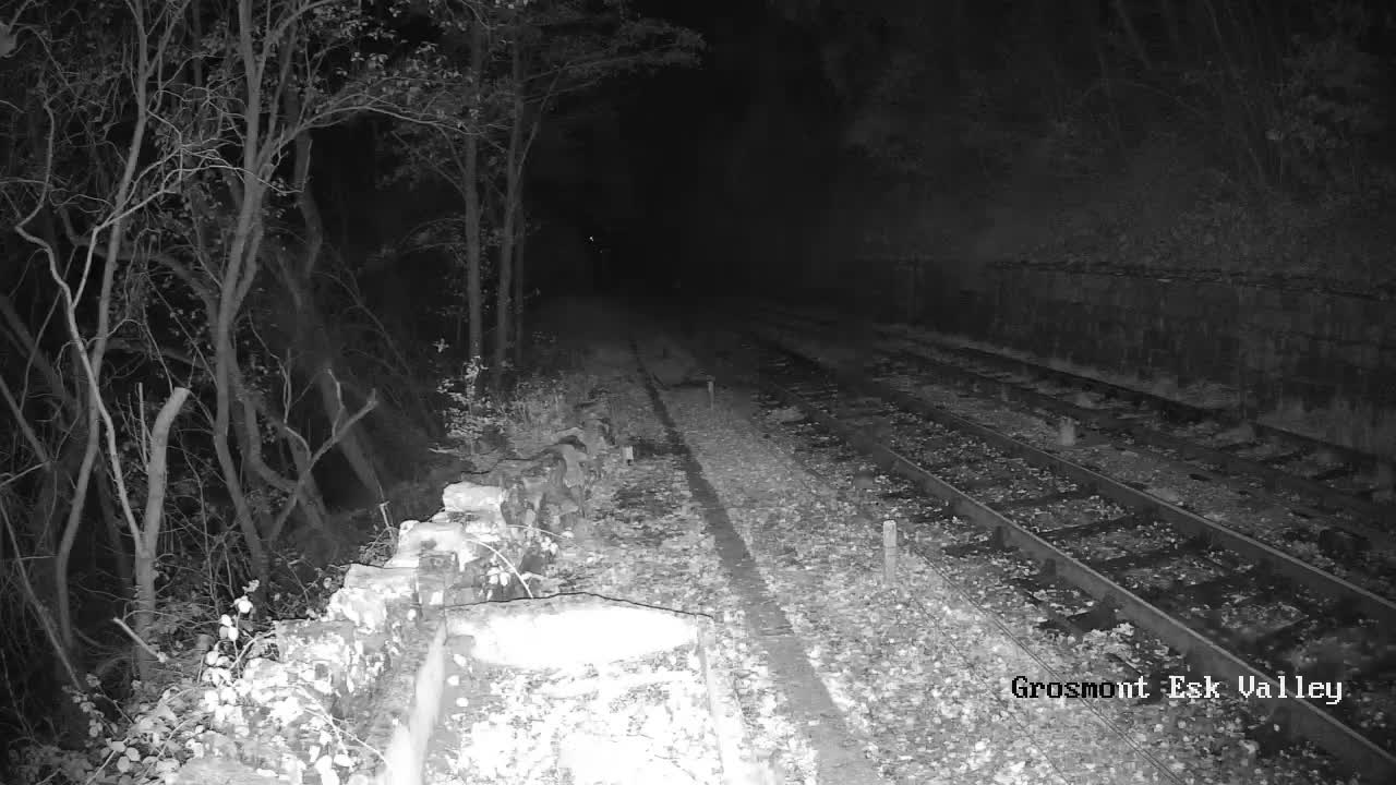 North Yorkshire Moors Railway (NYMR) Goathland Station North View Live Cam - Goathland, Borough of Scarborough, North Yorkshire, Yorkshire and the Humber, England, United Kingdom