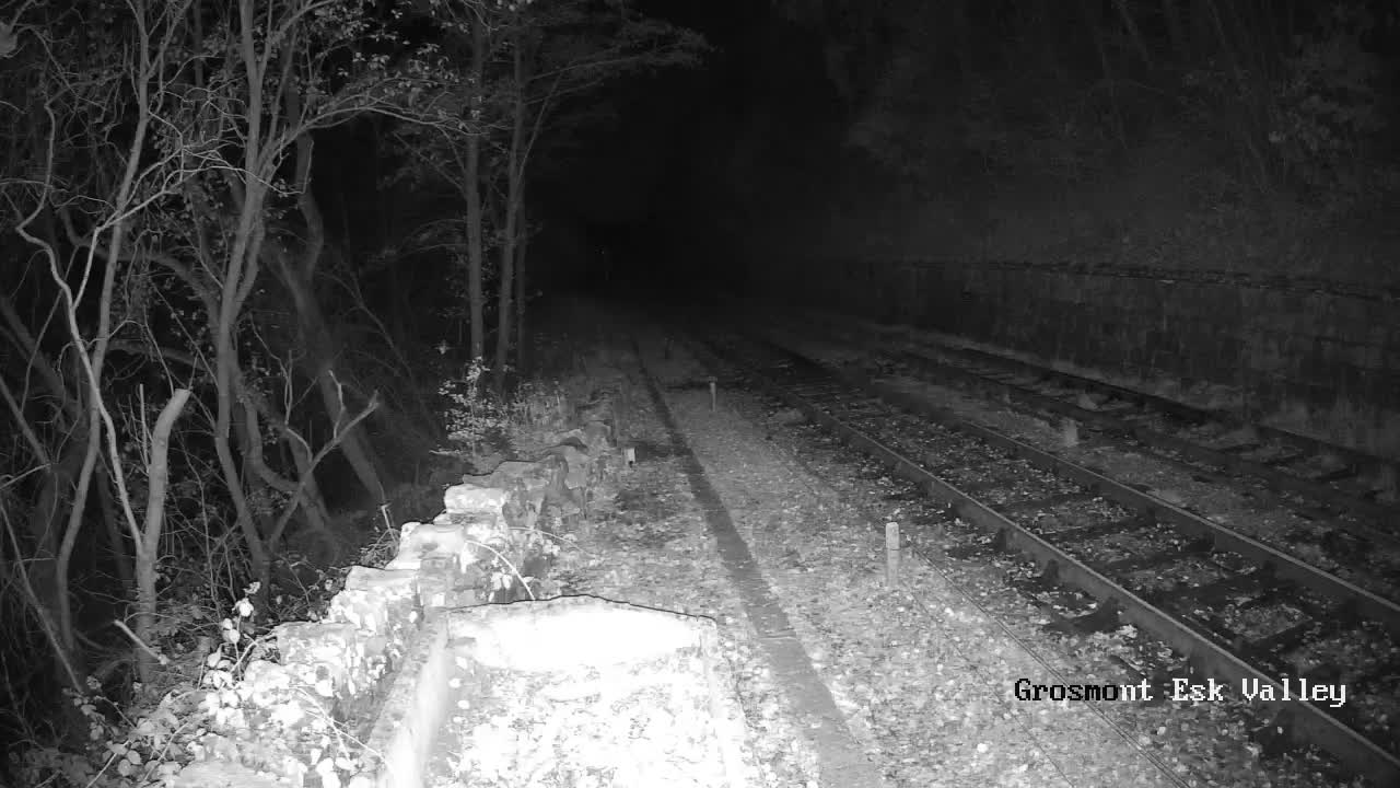 North Yorkshire Moors Railway (NYMR) Goathland Station North View Live Cam - Goathland, Borough of Scarborough, North Yorkshire, Yorkshire and the Humber, England, United Kingdom