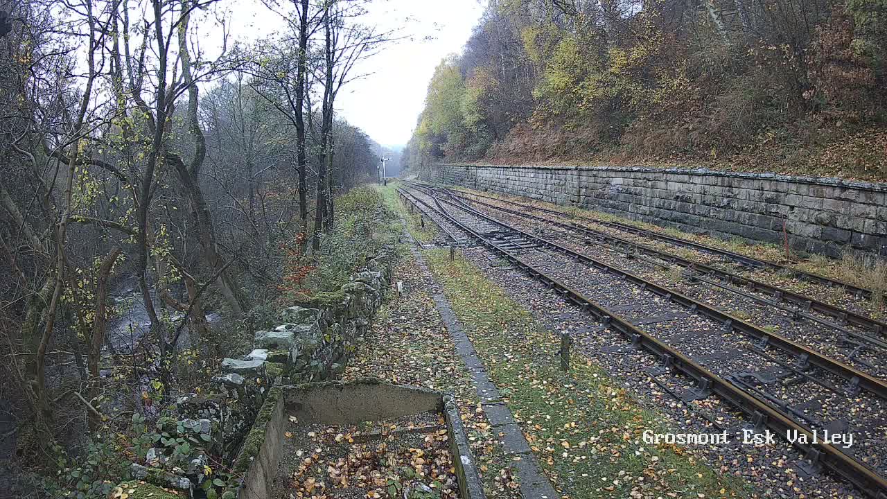 A foggy view of multiple train tracks beside a stone wall, bordered by overgrown vegetation.