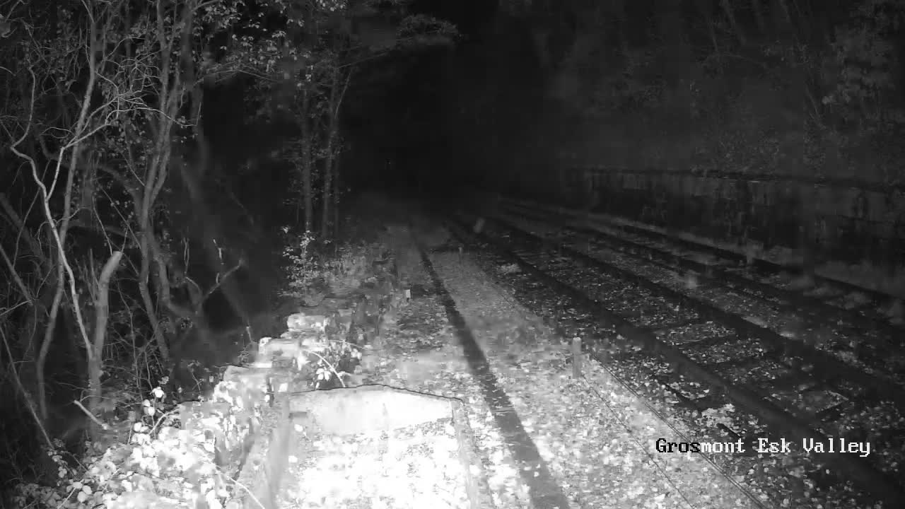 North Yorkshire Moors Railway (NYMR) Goathland Station North View Live Cam - Goathland, Borough of Scarborough, North Yorkshire, Yorkshire and the Humber, England, United Kingdom