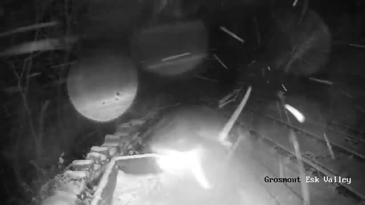 North Yorkshire Moors Railway (NYMR) Goathland Station North View Live Cam - Goathland, Borough of Scarborough, North Yorkshire, Yorkshire and the Humber, England, United Kingdom