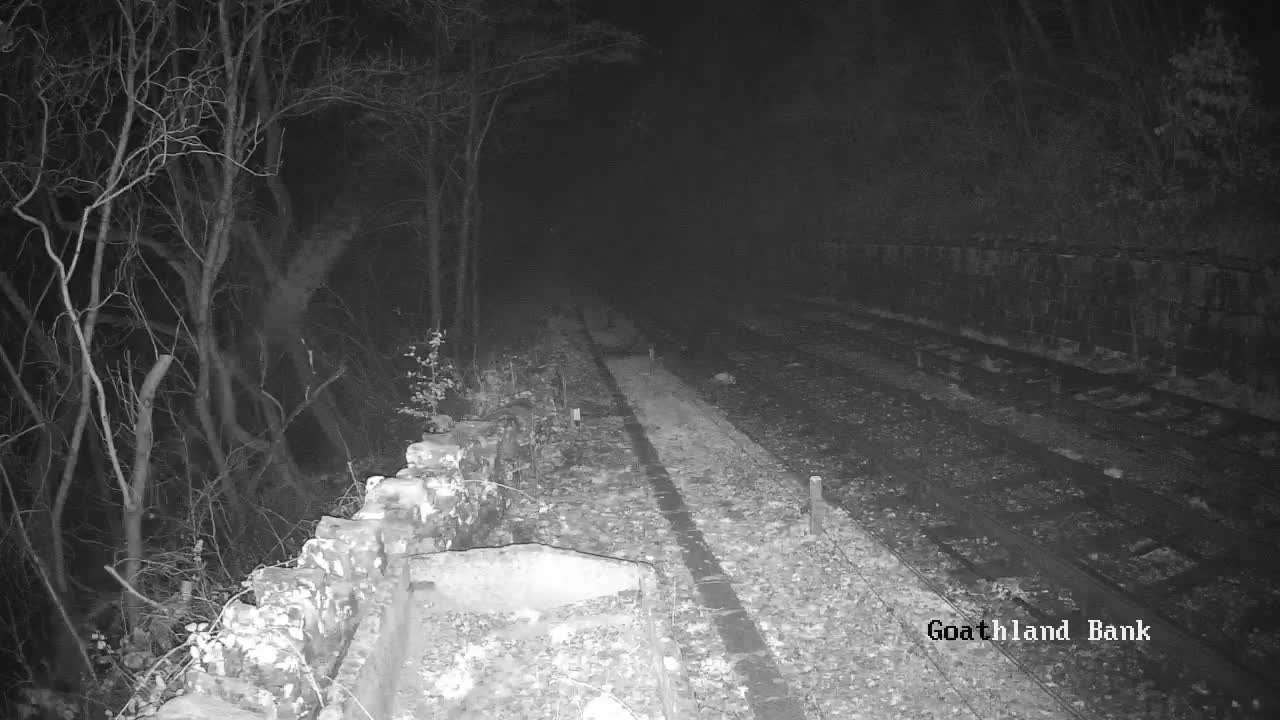 North Yorkshire Moors Railway (NYMR) Goathland Station North View Live Cam - Goathland, Borough of Scarborough, North Yorkshire, Yorkshire and the Humber, England, United Kingdom