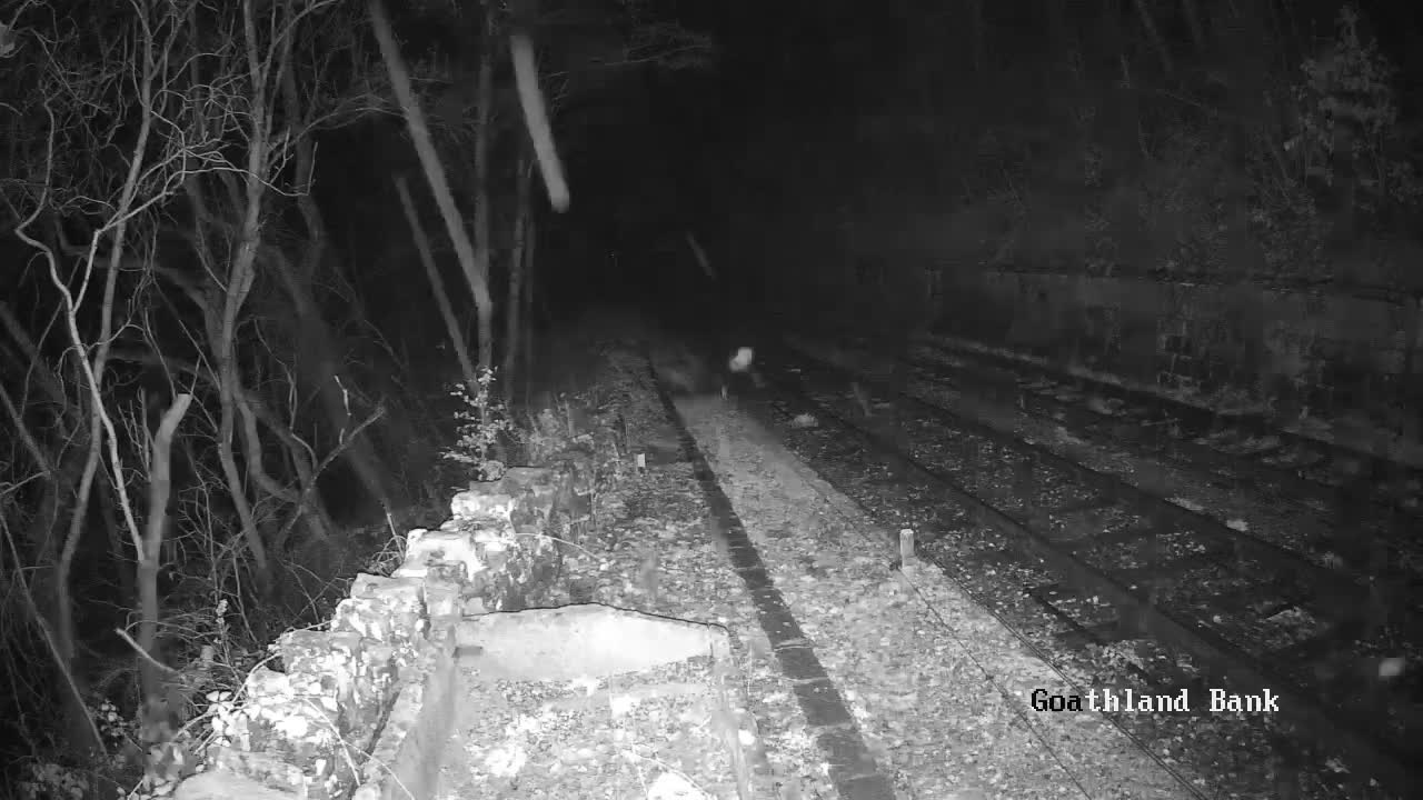North Yorkshire Moors Railway (NYMR) Goathland Station North View Live Cam - Goathland, Borough of Scarborough, North Yorkshire, Yorkshire and the Humber, England, United Kingdom