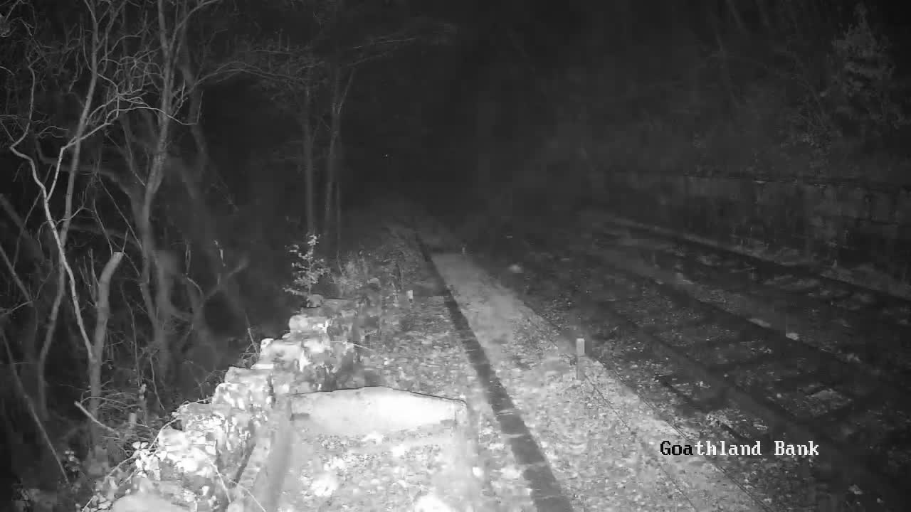 North Yorkshire Moors Railway (NYMR) Goathland Station North View Live Cam - Goathland, Borough of Scarborough, North Yorkshire, Yorkshire and the Humber, England, United Kingdom